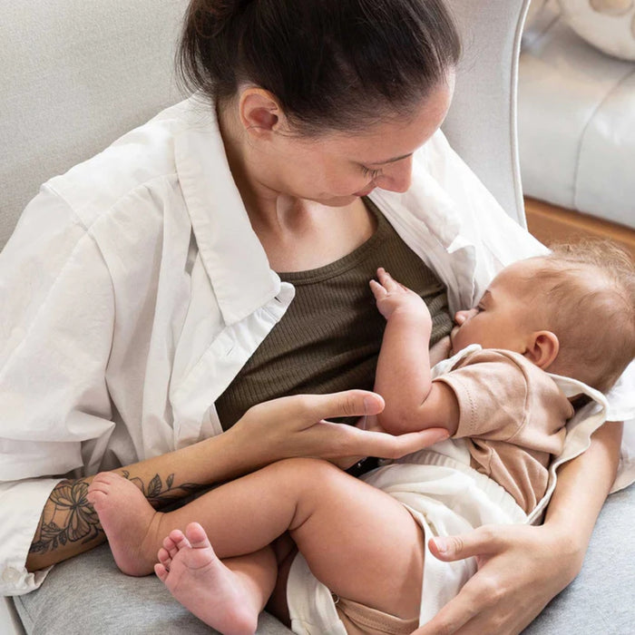 
    Almofada De Amamentação Serena Infanti Cinza Mescla - Infanti Babytunes
  