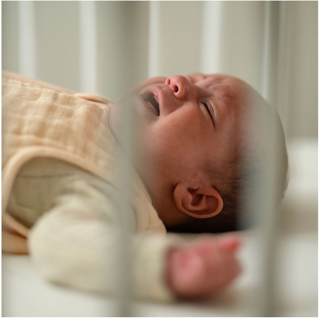 Babá Eletrônica See Pro Com Monitor Linha Conectada - Maxi Cosi - Maxi-Cosi Babytunes