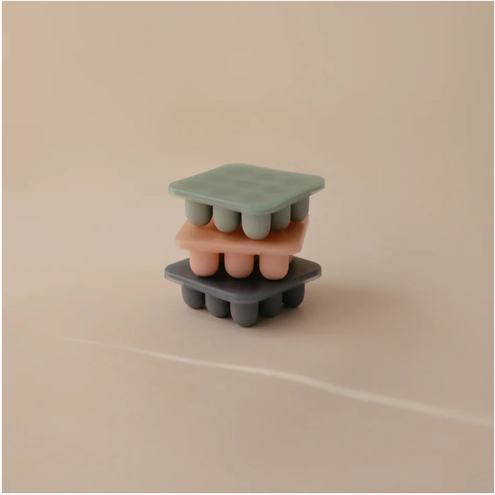 
    Forma Para Congelar Papinhas Mushie Blush - Mushie Babytunes
  