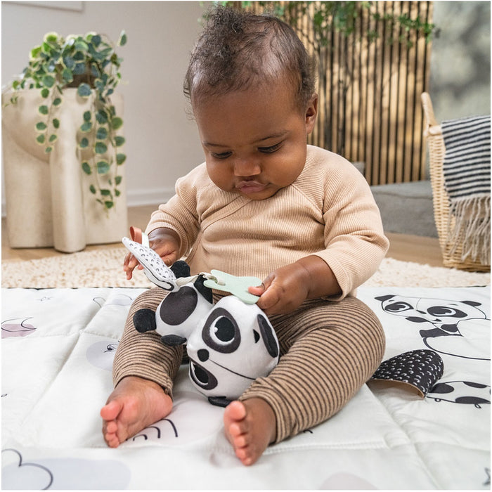 
    Brinquedo Chocalho Panda Black & White Decor Tiny Love - Tiny Love Babytunes
  