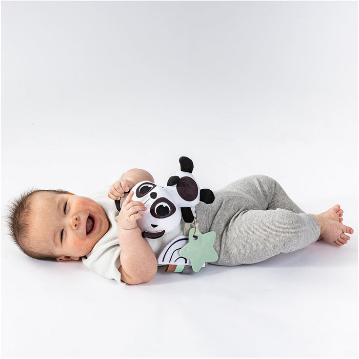 
    Brinquedo Chocalho Panda Black & White Decor Tiny Love - Tiny Love Babytunes
  