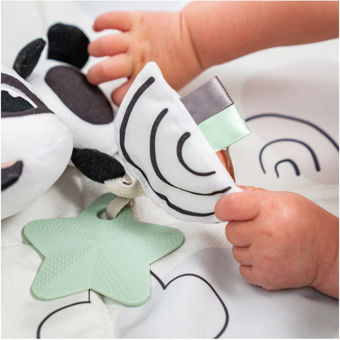 
    Brinquedo Chocalho Panda Black & White Decor Tiny Love - Tiny Love Babytunes
  