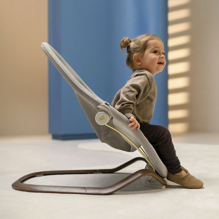 
    Cadeira de Descanso Maxi-Cosi Dove Pro Elegance Graphite
  