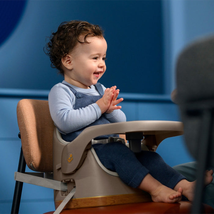 
    Cadeirinha de Alimentação Portátil 2 em 1 Maxi-Cosi Jay Elegance Graphite
  