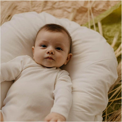 Proteção Para o Bebê e Para o Ninho