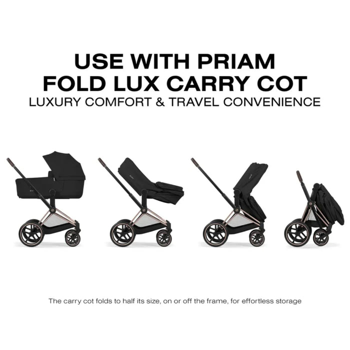 
    Carrinho De Bebê Cybex Priam Comfort Collection Matte Black / Cozy Beige
  