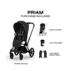 Carrinho De Bebê Cybex Priam 2026 Lux Matte Black / Sepia Black