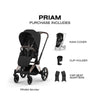 Carrinho De Bebê Cybex Priam 2026 Lux Rose Gold / Sepia Black
