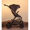 Carrinho De Bebê + Moisés Silver Cross Reef 2 Ganache - BR