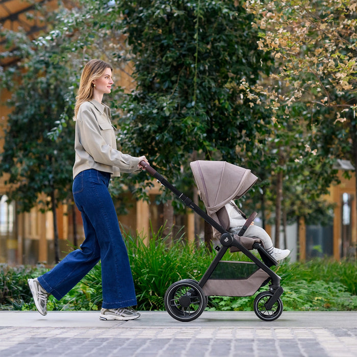 
    Carrinho de Bebê Maxi-Cosi Oxford Twillic Truffle
  