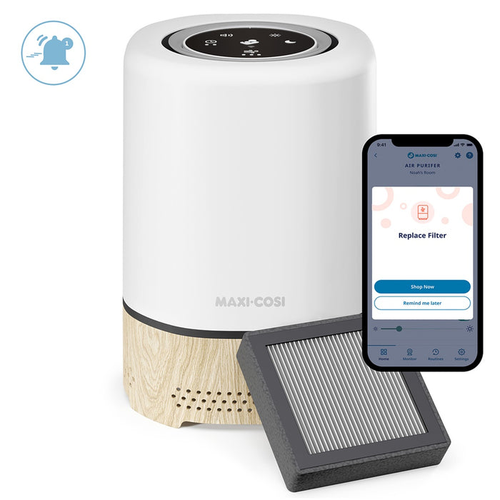 
    Filtro Para Purificador de Ar Clean Maxi-Cosi - 3 Unidades - Maxi-Cosi Babytunes
  