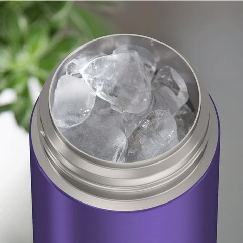 Garrafa Térmica Infantil Thermos Foogo Roxa 350ML - Thermos Babytunes