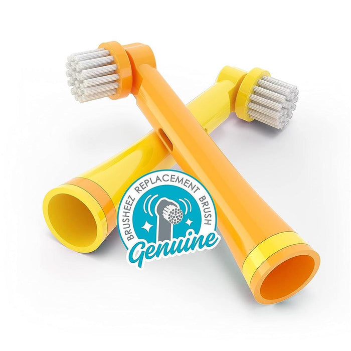 
    Kit De Substituição Dental Brusheez 2 Peças - Brusheez Babytunes
  