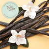 Refil de Sacos Descartáveis Moodie Vanilla Scented - 06 Unidades