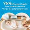 Lenços WaterWipes 60 Unidades