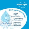 Lenços WaterWipes 60 Unidades