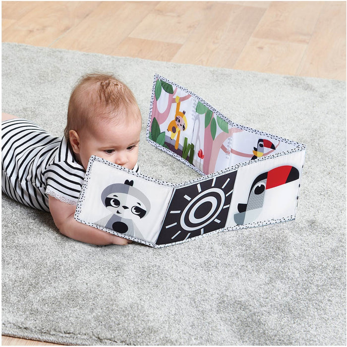 
    Meu Primeiro Livrinho Tiny Love Boho Chic - Tiny Love Babytunes
  