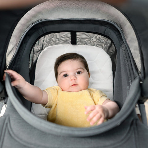 Moisés Infantil Maxi-Cosi Sense Twillic Truffle