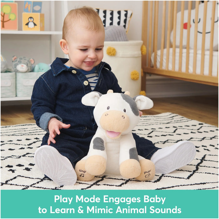 
    Pelúcia Gund Animada Vaquinha Buttermilk - Gund Babytunes
  
