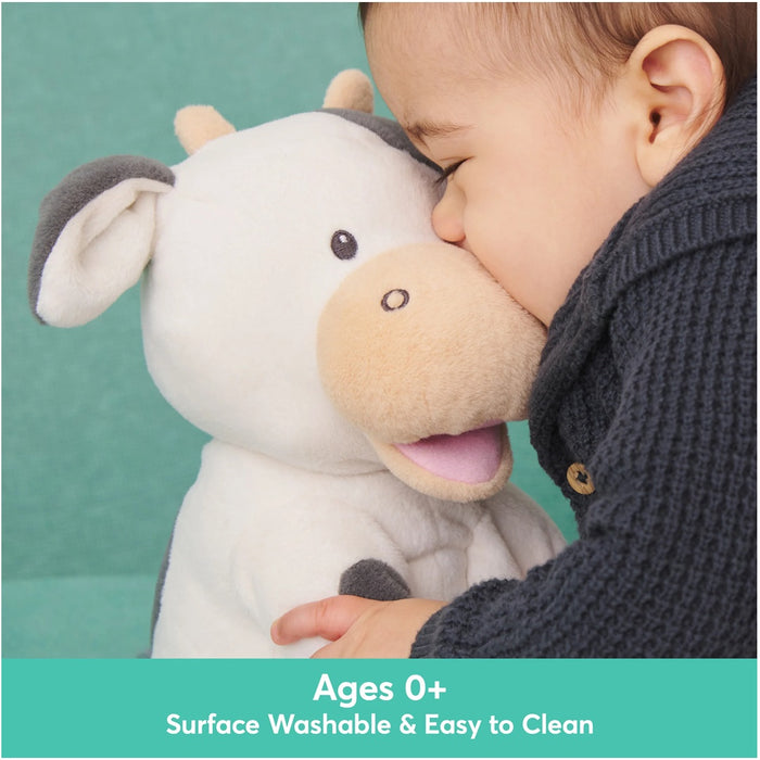 
    Pelúcia Gund Animada Vaquinha Buttermilk - Gund Babytunes
  