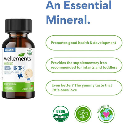 Ferro Um Mineral Essencial