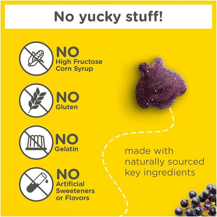 
    Suporte Para Imunidade Infantil Elderberry Zarbee's Com Sabor Natural de Frutas 42 Gomas - Zarbee's Babytunes
  