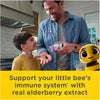 Suporte Para Imunidade Infantil Elderberry Zarbee's Com Sabor Natural de Frutas 42 Gomas