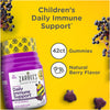 Suporte Para Imunidade Infantil Elderberry Zarbee's Com Sabor Natural de Frutas 42 Gomas