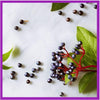 Suporte Para Imunidade Infantil Elderberry Zarbee's Com Sabor Natural de Frutas 42 Gomas - Zarbee's Babytunes