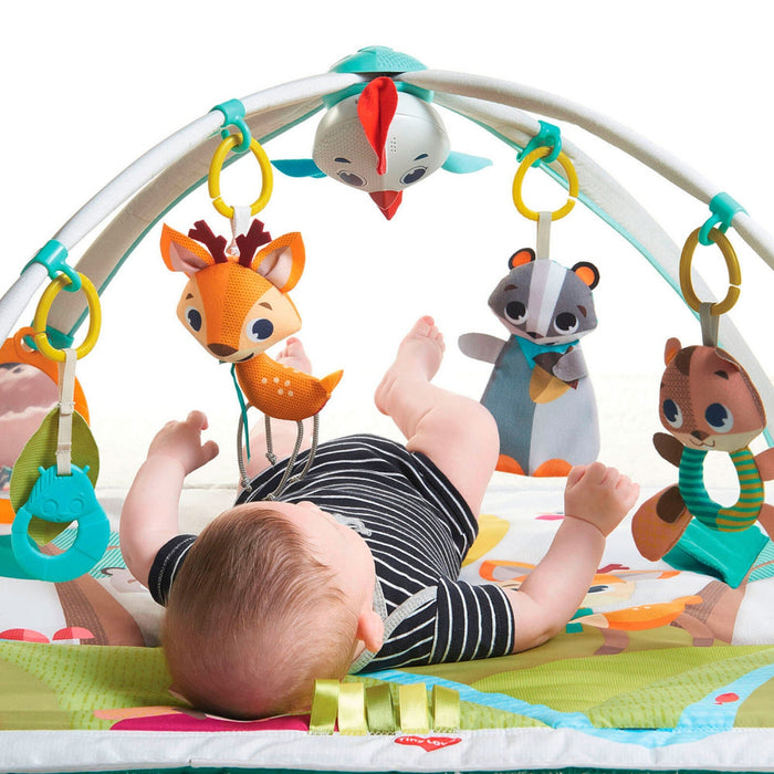 
    Tapete De Atividades Gymini Tiny Love Into The Forest - Tiny Love Babytunes
  