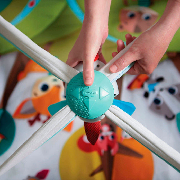 
    Tapete De Atividades Gymini Tiny Love Into The Forest - Tiny Love Babytunes
  