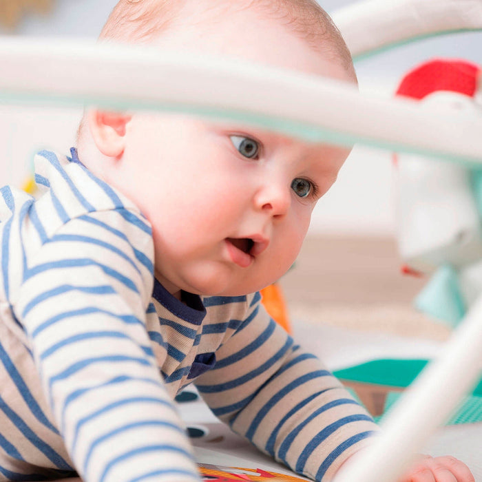 
    Tapete De Atividades Gymini Tiny Love Into The Forest - Tiny Love Babytunes
  