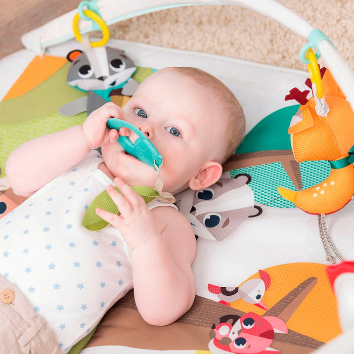 
    Tapete De Atividades Gymini Tiny Love Into The Forest - Tiny Love Babytunes
  
