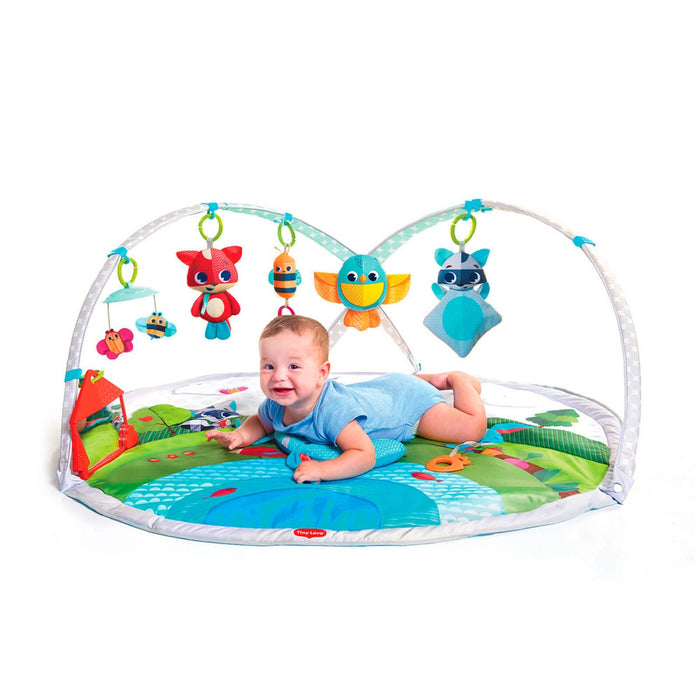 
    Tapete De Atividades Tiny Love Gymini Dynamic Meadow Days
  