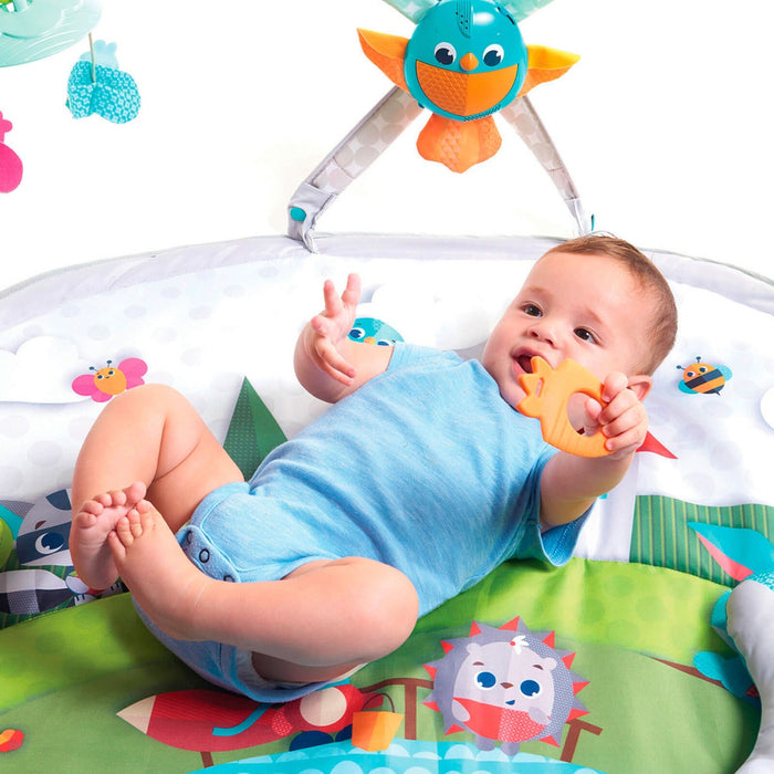 
    Tapete De Atividades Tiny Love Gymini Dynamic Meadow Days
  