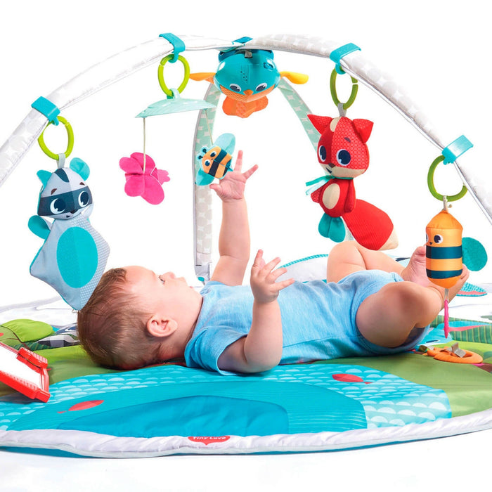 
    Tapete De Atividades Tiny Love Gymini Dynamic Meadow Days
  
