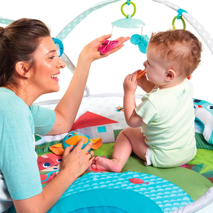 
    Tapete De Atividades Tiny Love Gymini Dynamic Meadow Days
  