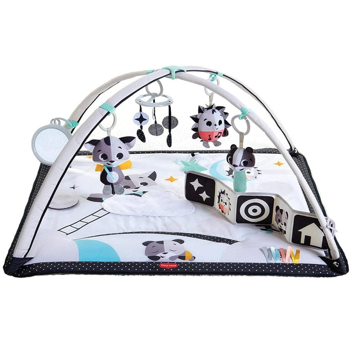 
    Tapete de Atividades Infantil Tiny Love Gymini Black & White - Tiny Love Babytunes
  