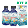 kit 2 Vitamina Nordic Naturals Children's Dha Xtra