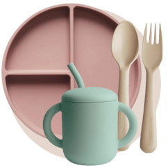 Introdução Alimentar