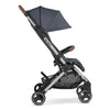 Carrinho De Bebê ABC Design Ping Two Tradicional Lake - ABC Design Babytunes
