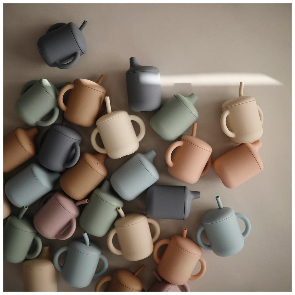 Seguro e Conveniente