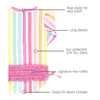 Maiô Infantil Ruffle Butts Rainbow FPS50+ - Ruffle Butts Babytunes