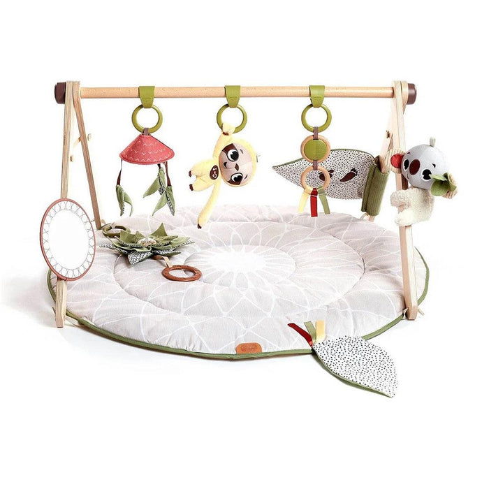 
    Tapete De Atividades Gymini Developmental Luxe Boho Chic - Tiny Love - Tiny Love Babytunes
  